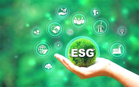 ESG Courses Singapore: Empowering Professionals for Sustainable Impact