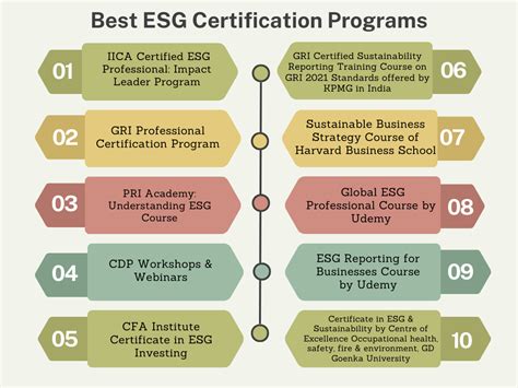 ESG Courses in Singapore: Empowering Professionals in Sustainable Business