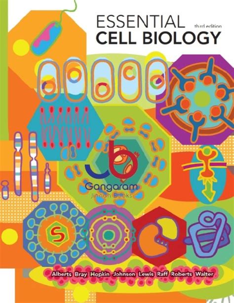 ESSENTIAL CELL BIOLOGY THIRD EDITION STUDY GUIDE Ebook Kindle Editon