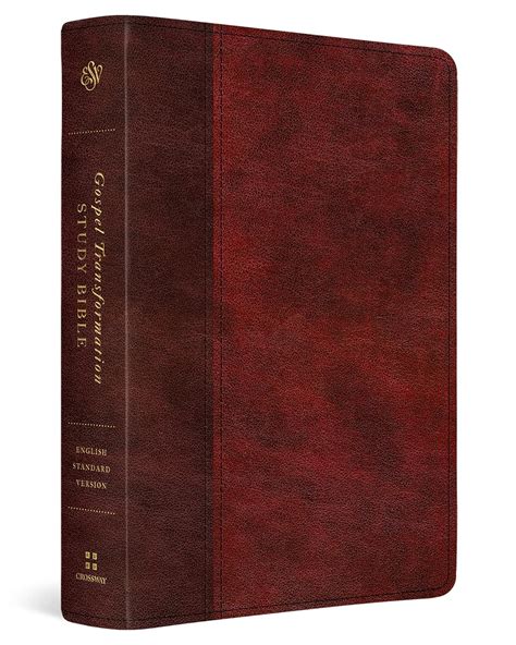 ESV Gospel Application Bible (Burgundy) Reader