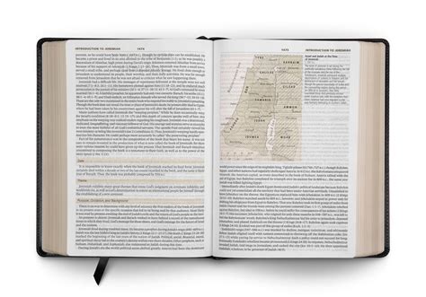 ESV Large Print Bible TruTone Black Spruce Garland Design Reader