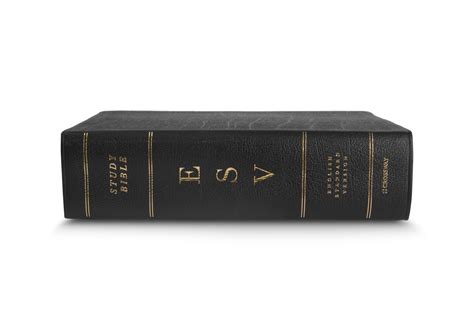 ESV Reformation Study Bible Condensed Edition 2017 Black Genuine Leather Doc