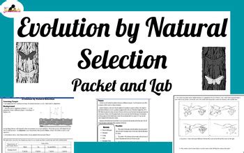 EVOLUTION BY NATURAL SELECTION LAB PACKET ANSWERS Ebook Kindle Editon