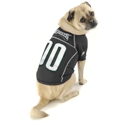 Eagles Dog Jersey: The Ultimate Guide