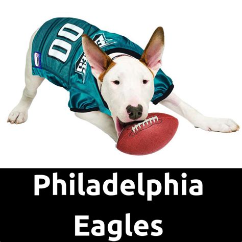 Eagles Dog Jersey: The Ultimate Guide for Dog Owners