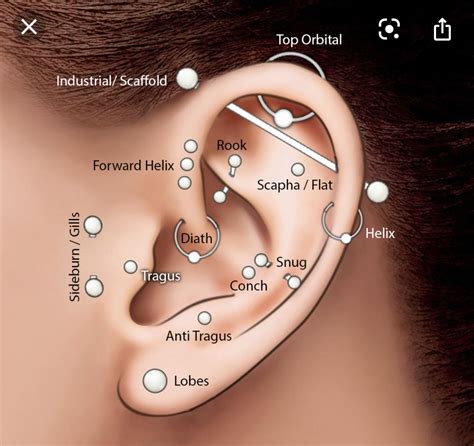 Ear Piecing Chart