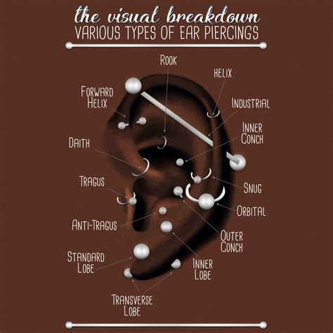 Ear Piercing Location Chart