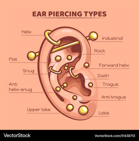 Ear Piercing Types Chart