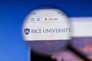 Early Decision Rice: A Comprehensive Guide to Success