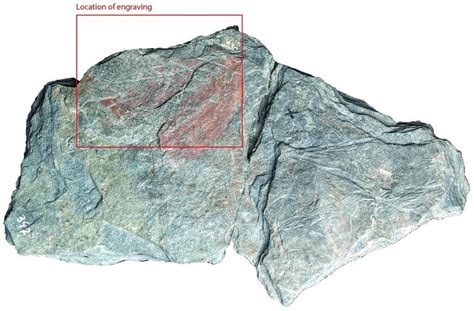 Early Depictions and Age Estimations: