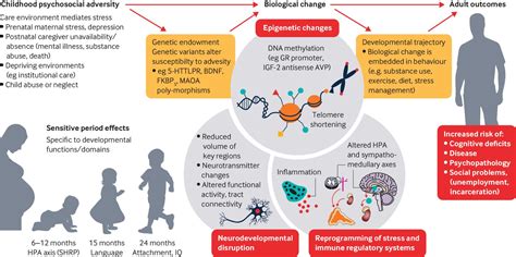 Early Life and Childhood Adversities