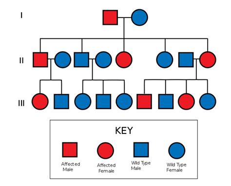 Early Life and Pedigree