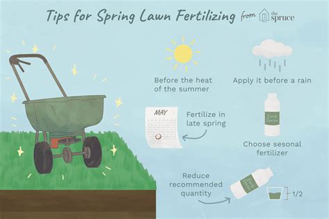 Early Spring Fertilizer: 5 Key Steps for a Thriving Lawn