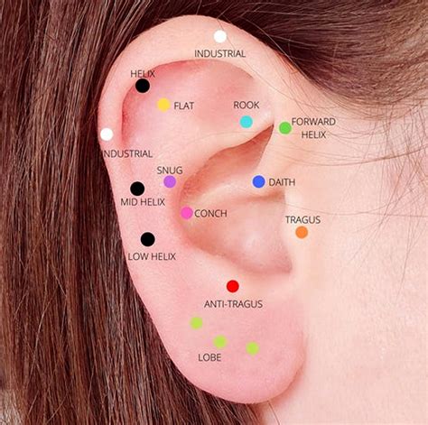 Earring Piercings Chart