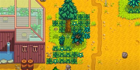 Earthquake Stardew Valley: Everything You Need to Know