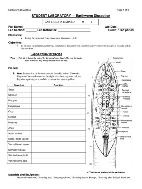 Earthworm Dissection Lab Report 28a Answer Sheet Kindle Editon