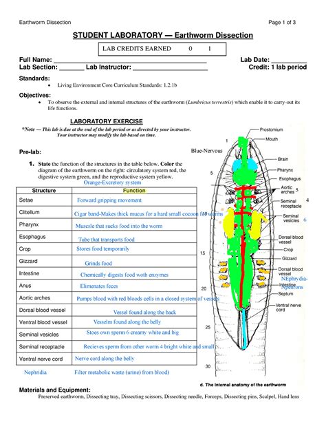 Earthworm Dissection Lab Report 28a Answers PDF