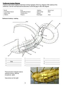 Earthworm Lab Answer Key Kindle Editon