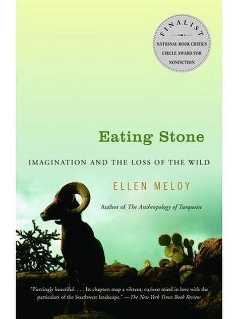 Eating Stone: Imagination and the Loss of the Wild Reader