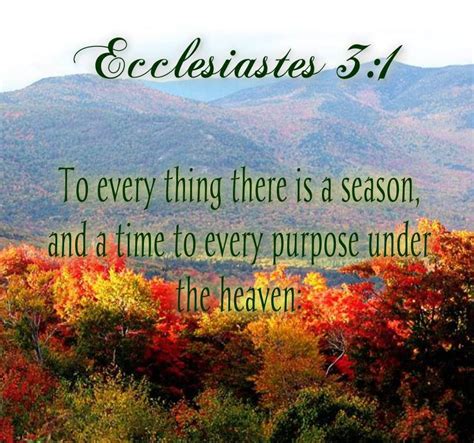 Ecclesiastes To Everything There Is a Season Reader