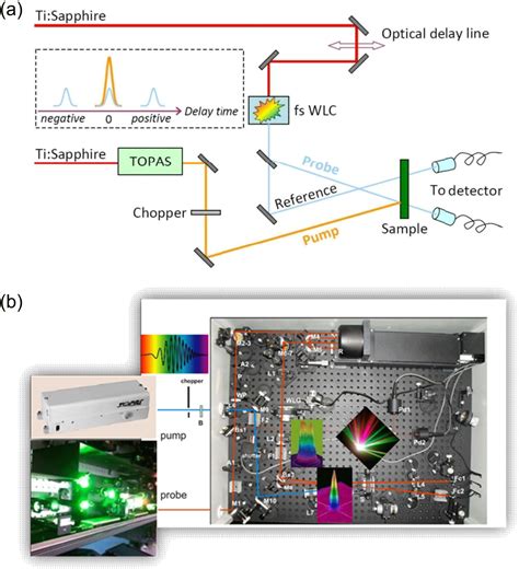 Eckerlin Jungwirth: Unlocking the Power of Ultrafast Spectroscopy to Probe Complex Systems