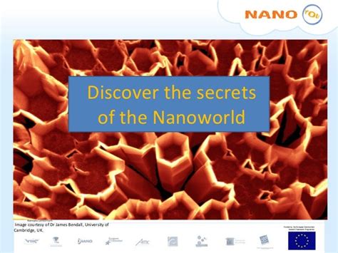 Eckerlin Jungwirth: Unlocking the Secrets of the Nano World