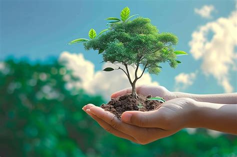 Eco-Conscious Values: A Pledge to the Planet