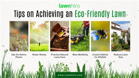 Eco-friendly lawn care: