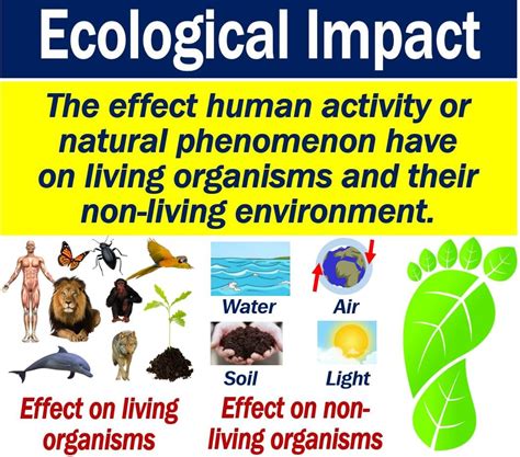 Ecological Impact: