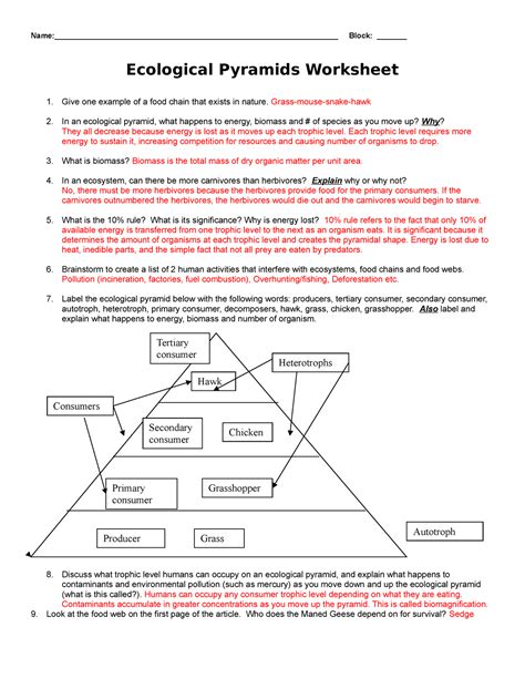 Ecological Pyramids Worksheet Answers Key PDF