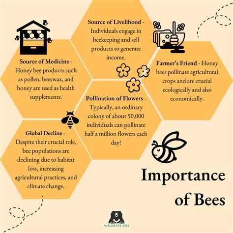 Ecological Significance of Honey Bees