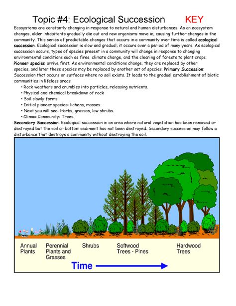 Ecological Succession Questions And Answers Reader