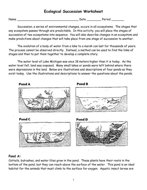 Ecological Succession Worksheet Ebook Kindle Editon