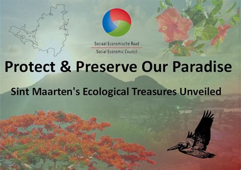 Ecological Treasure: