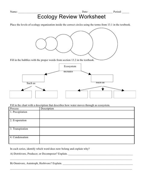 Ecology Review Sheet Answers Doc