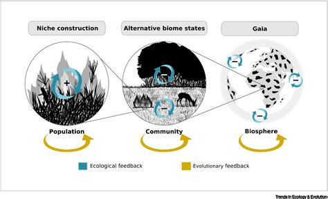 Ecology and Evolution