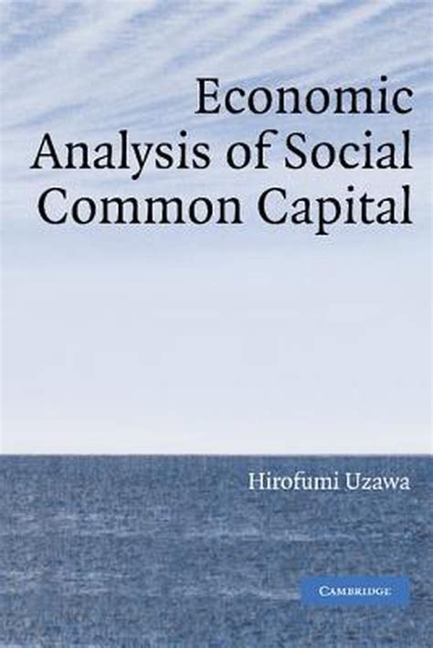 Economic Analysis of Social Common Capital Kindle Editon