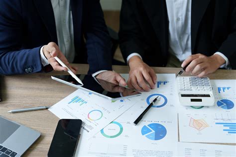 Economic Consultant