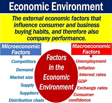 Economic Environment of Business Kindle Editon