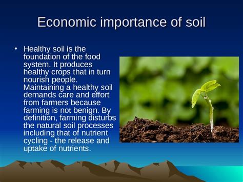 Economic Value of Soil