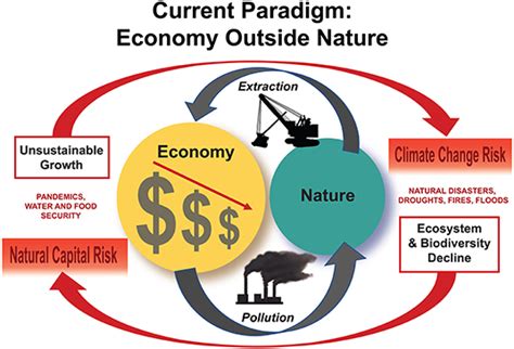 Economic Values and the Natural World Kindle Editon