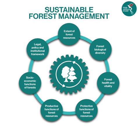 Economics, Sustainability and Natural Resources Economics of Sustainable Forest Management 1st Editi Doc