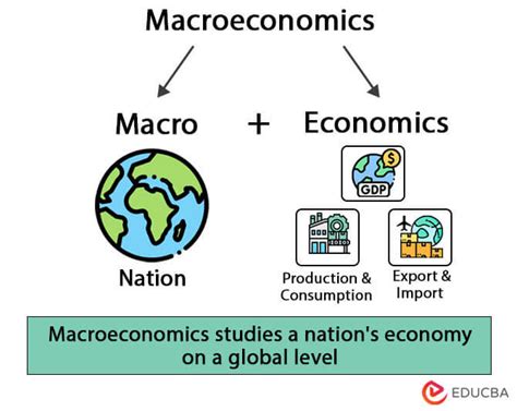 Economics  Macroeconomics Doc