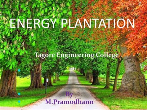Economics of Energy Plantation Proceeding of National Workshop on Economics of Energy Plantation PDF