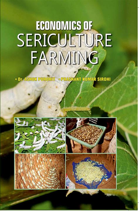 Economics of Sericulture Farming Kindle Editon