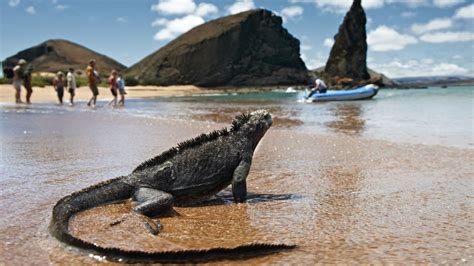 Ecuador to the Galapagos: An Unforgettable Journey to a World of Wonders