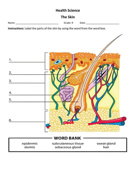 Edge interactive unit 1 The Skin Ebook PDF