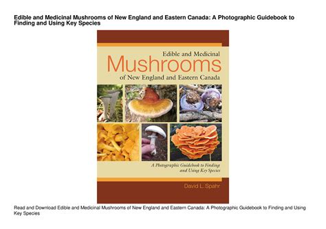 Edible Medicinal Mushrooms England Eastern Epub