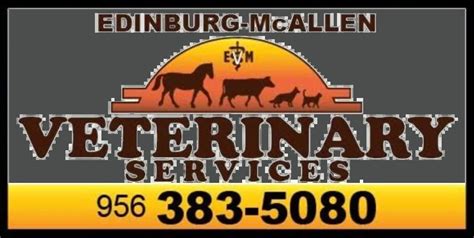 Edinburg-McAllen Veterinary Clinic: Your Ultimate Pet Care Destination