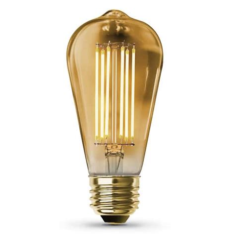 Edison LED Light Bulbs